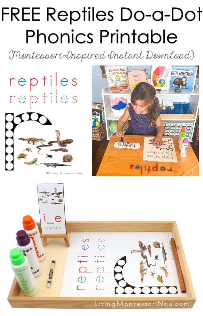 FREE Reptiles Do-a-Dot Phonics Printable (Montessori-Inspired Instant Download)