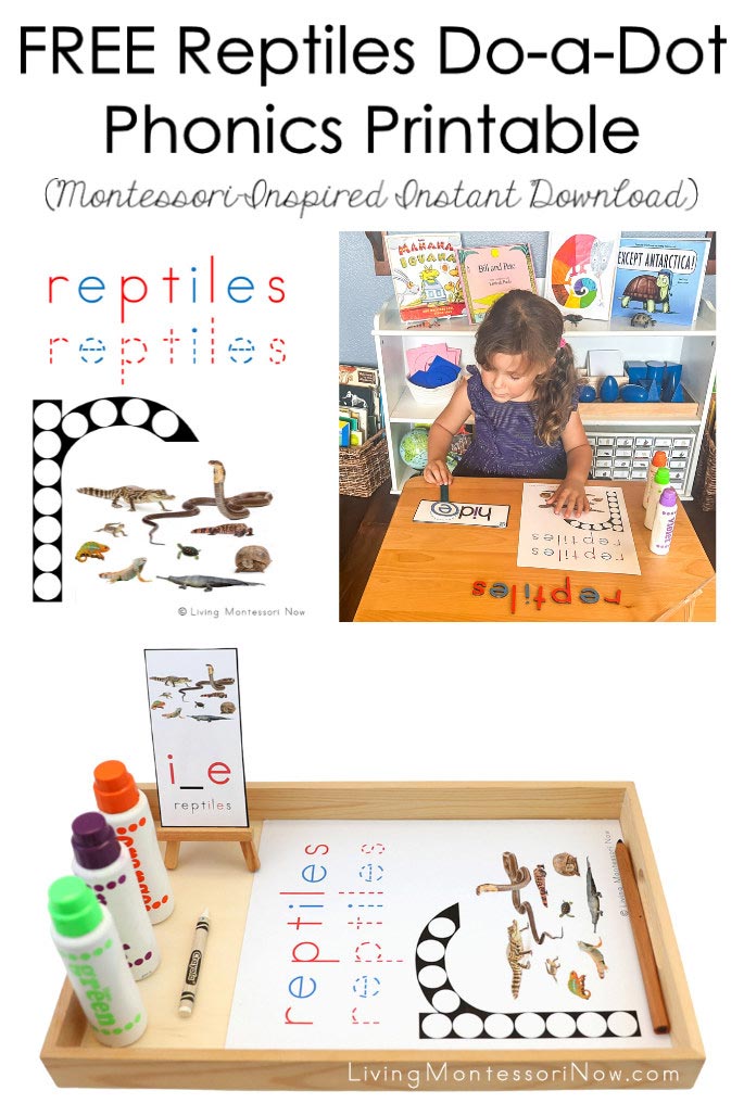 FREE Reptiles Do-a-Dot Phonics Printable (Montessori-Inspired Instant Download)