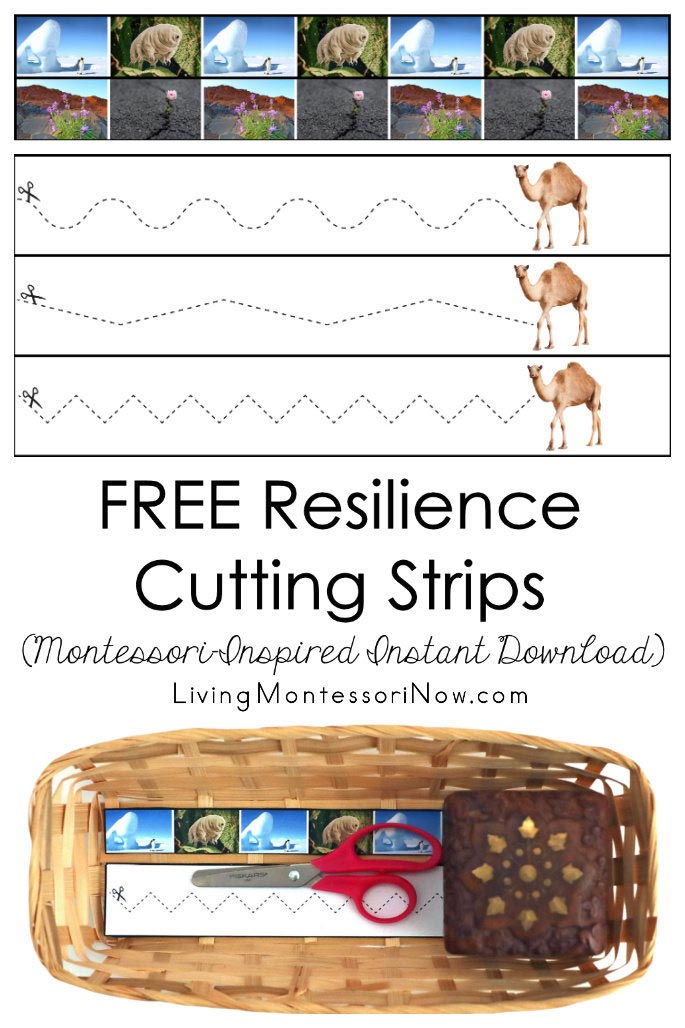 FREE Resilience Cutting Strips (Montessori-Inspired Instant Download)