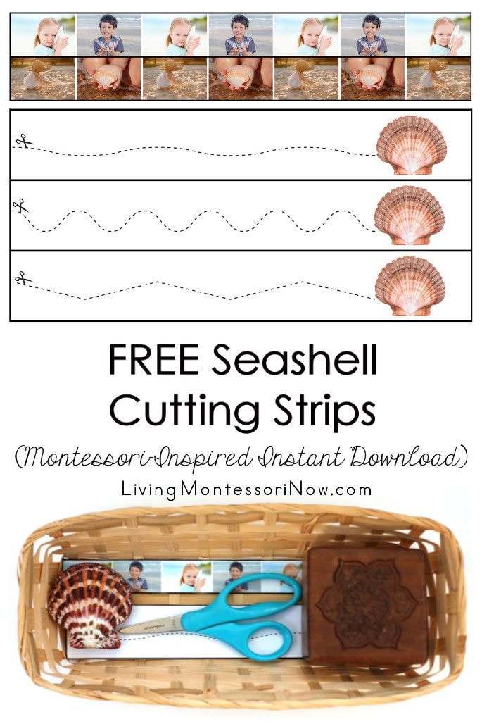 FREE Seashell Cutting Strips (Montessori-Inspired Instant Download)