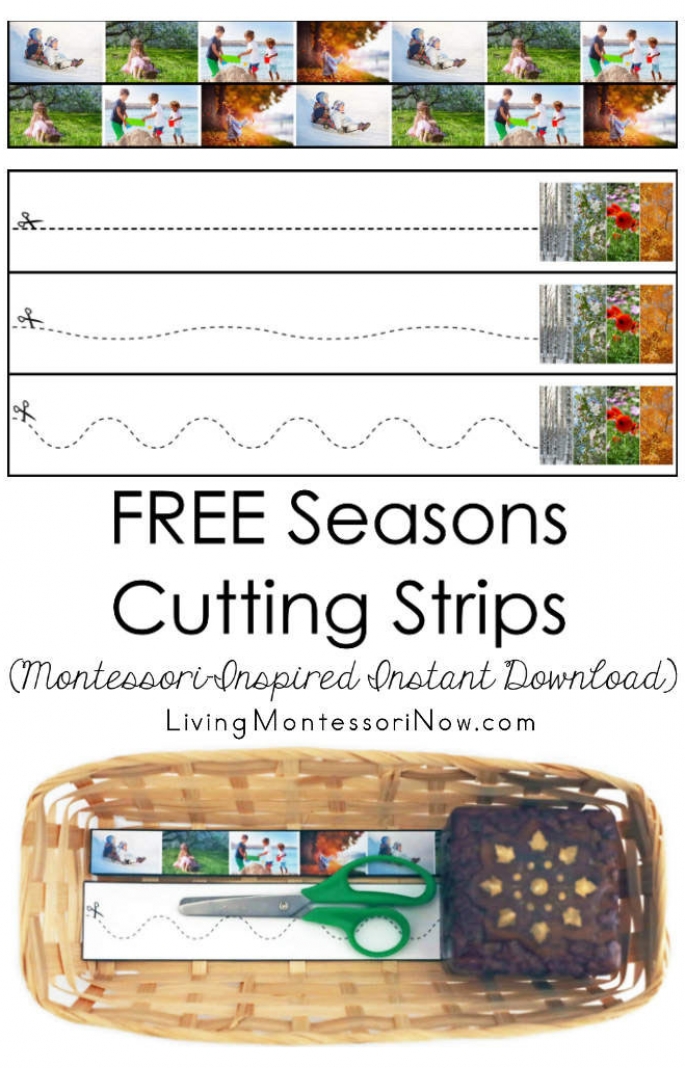 FREE Seasons Cutting Strips (Montessori-Inspired Instant Download)