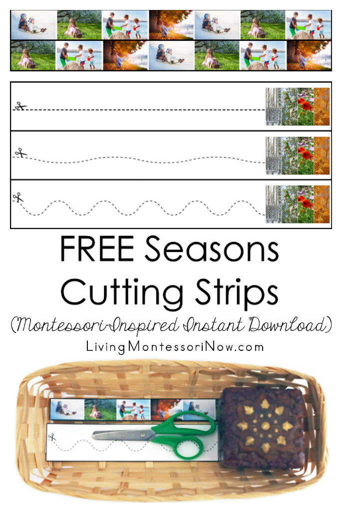 FREE Seasons Cutting Strips (Montessori-Inspired Instant Download)