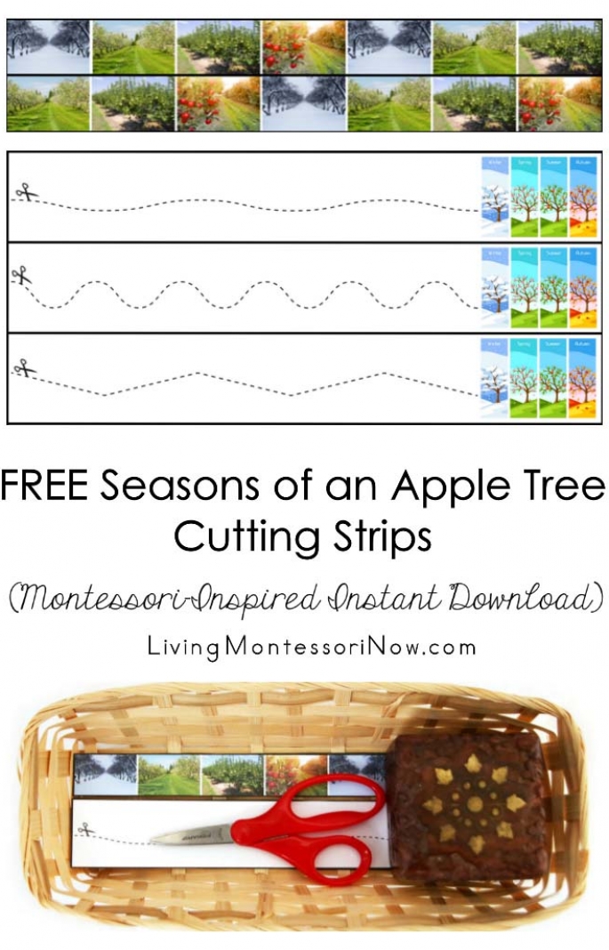 FREE Seasons of an Apple Tree Cutting Strips (Montessori-Inspired Instant Download)