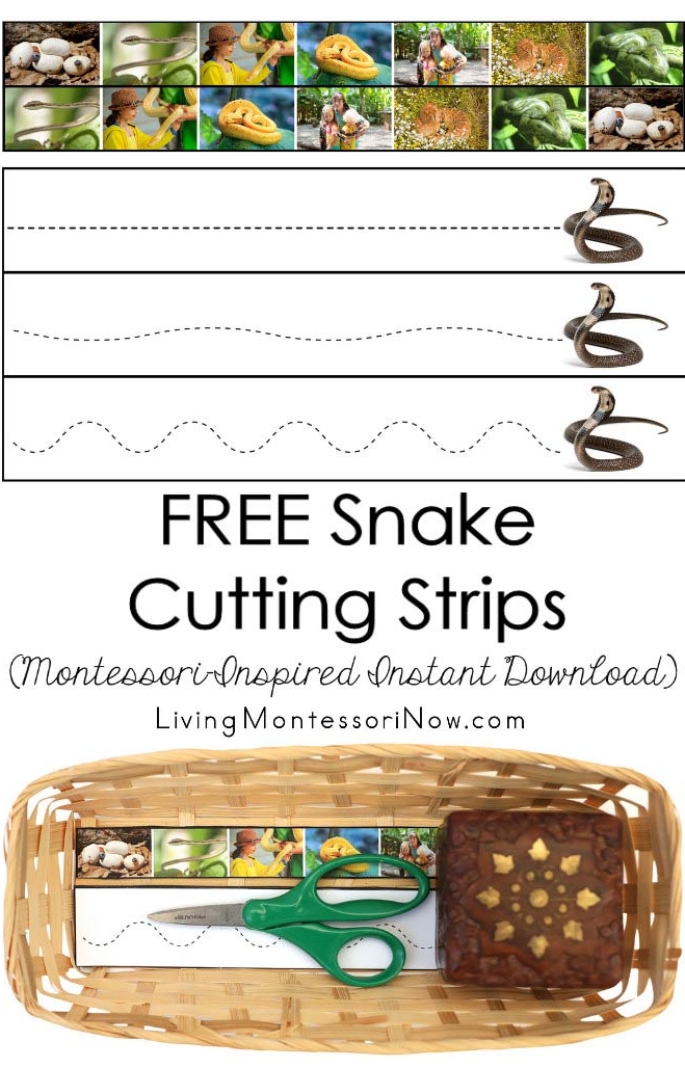 FREE Snake Cutting Strips (Montessori-Inspired Instant Download)