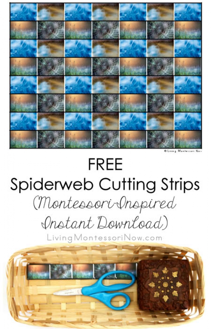 FREE Spiderweb Cutting Strips (Montessori-Inspired Instant Download)