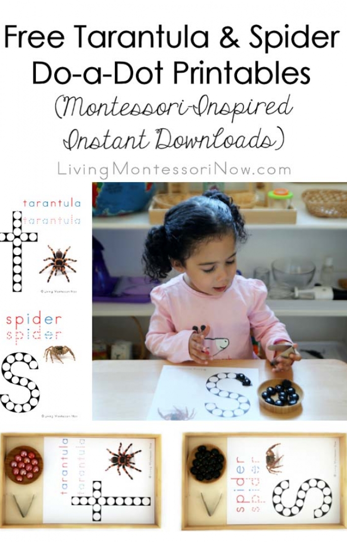 FREE Tarantua and Spider Do-a-Dot Printables (Montessori-Inspired Instant Downloads)