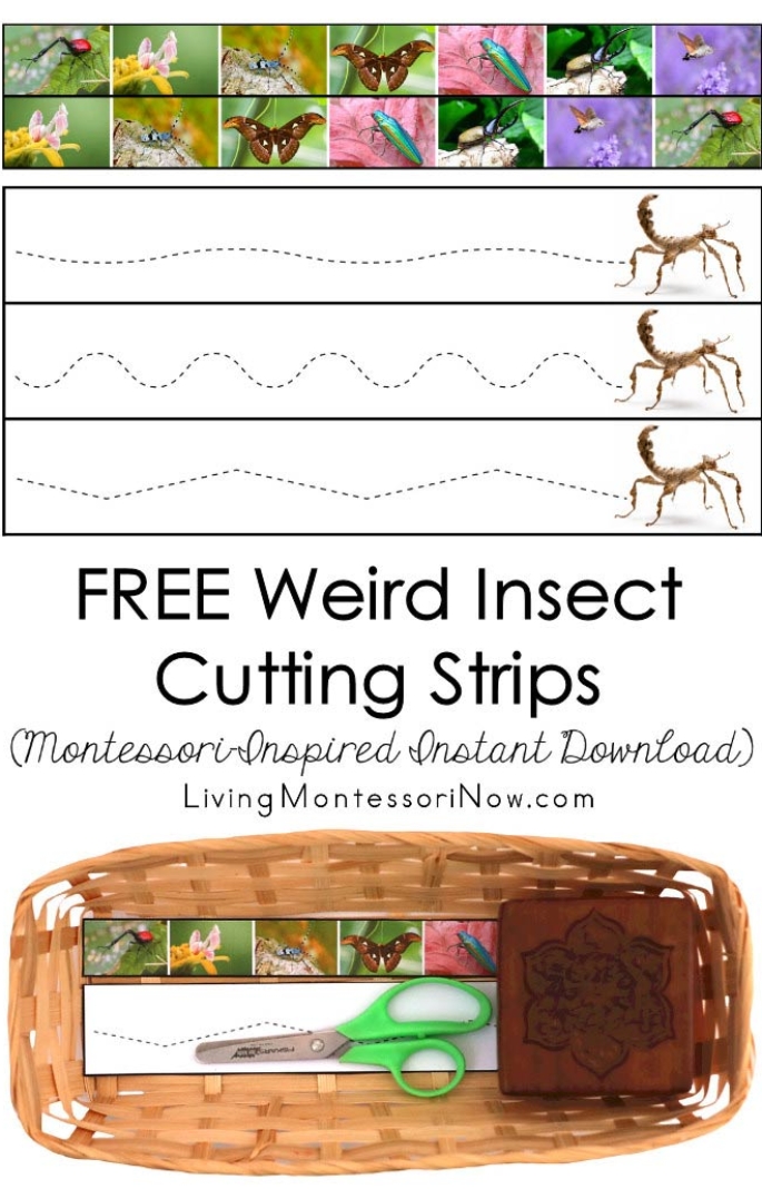 FREE Weird Insect Cutting Strips (Montessori-Inspired Instant Download)