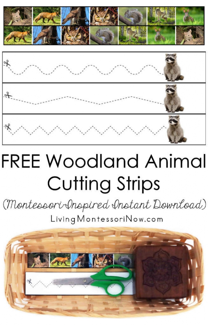 FREE Woodland Animal Cutting Strips (Montessori-Inspired Instant Download)