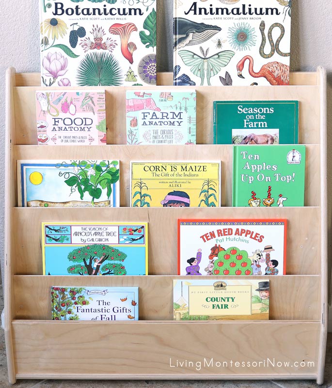 Front-Facing Bookshelves with Books for a Mini Fall Unit