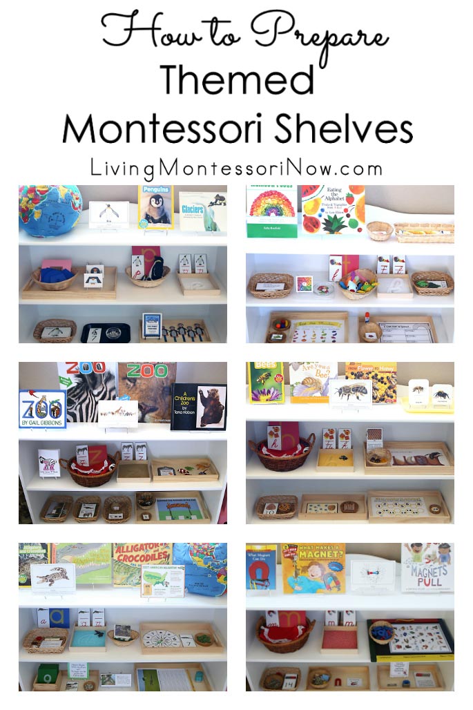 How to Prepare Themed Montessori Shelves