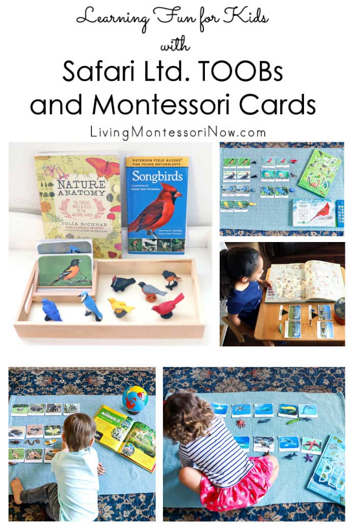 Learning Fun for Kids with Safari Ltd. TOOBs and Montessori Cards