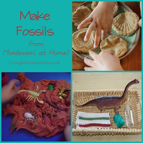 Make Fossils from Montessori at Home!