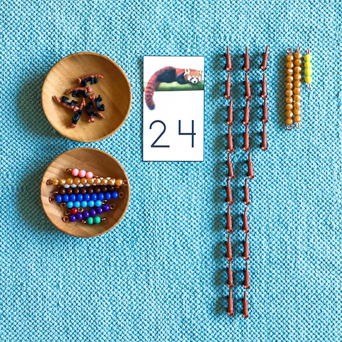 Matching Numerals with Miniature Red Pandas and Bead Bars
