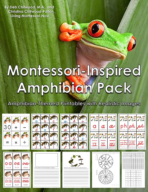 Montessori-Inspired Amphibian Pack