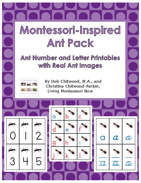 Montessori-Inspired Ant Pack