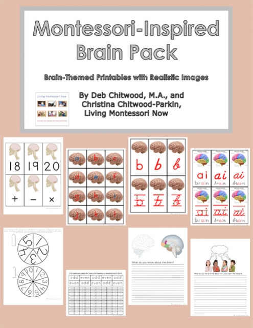 Montessori-Inspired Brain Pack