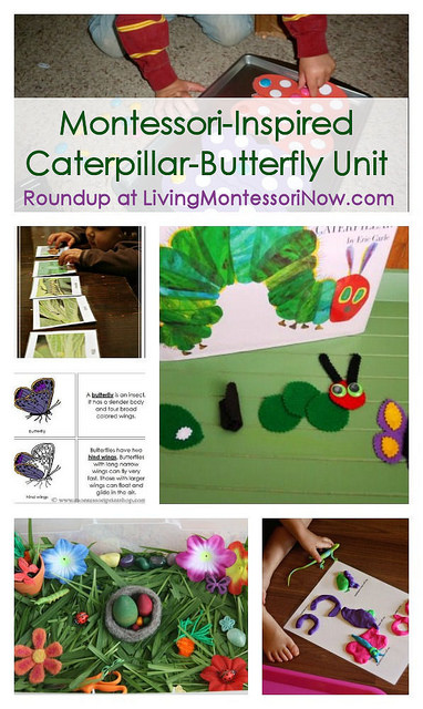 Montessori-Inspired Caterpillar-Butterfly Unit