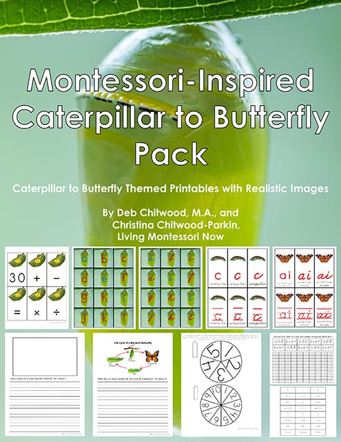 Montessori-Inspired Caterpillar to Butterfly Pack