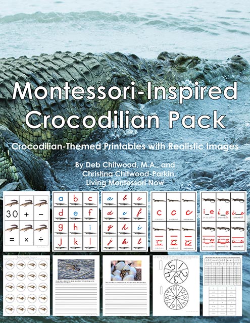 Montessori-Inspired Crocodilian Pack