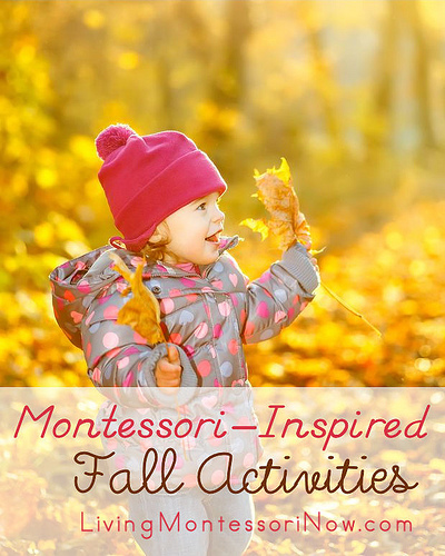 Montessori-Inspired Fall Activiites