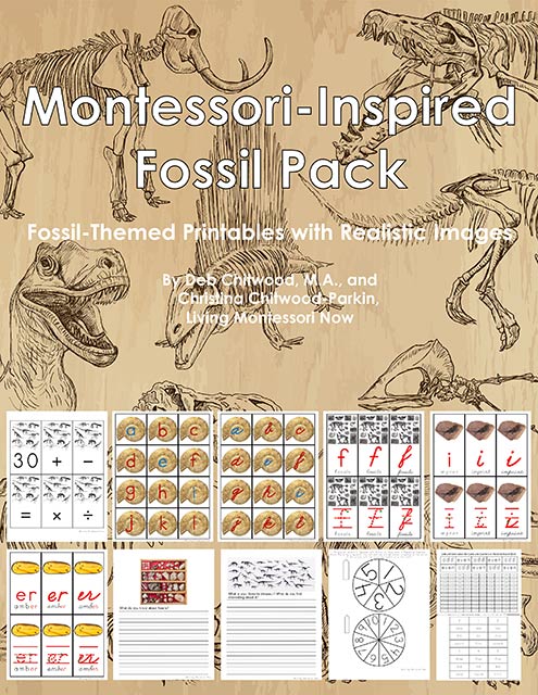 Montessori-Inspired Fossil Pack