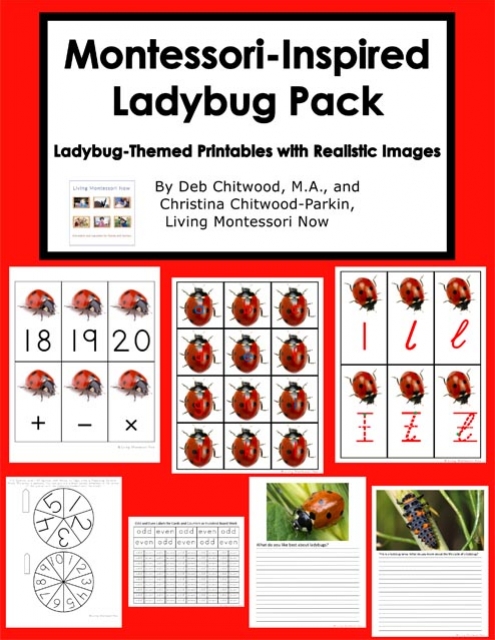 Montessori-Inspired Ladybug Pack