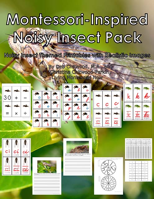 Montessori-Inspired Noisy Insect Pack
