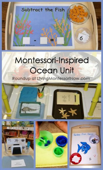 Montessori-Inspired Ocean Unit