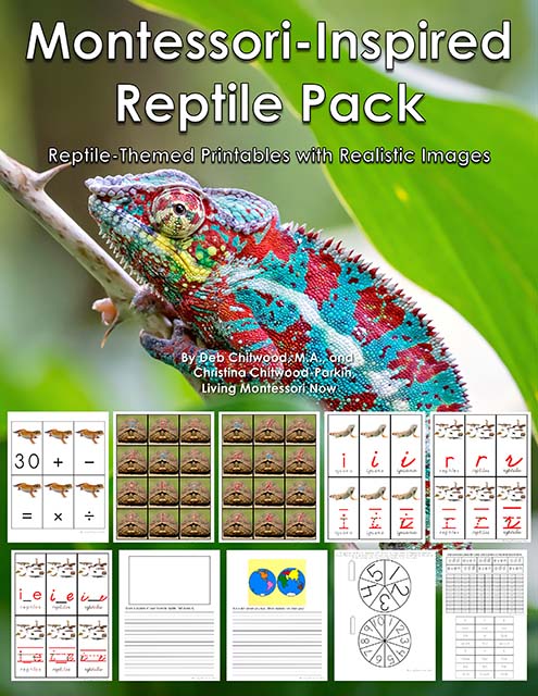 Montessori-Inspired Reptile Pack