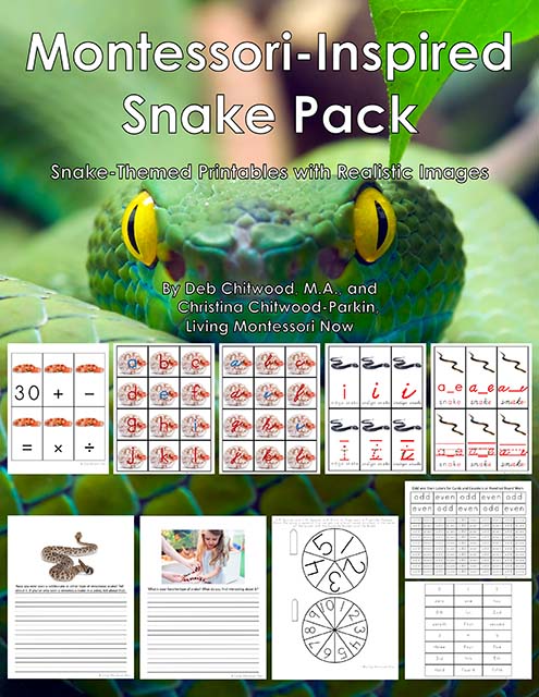 Montessori-Inspired Snake Pack