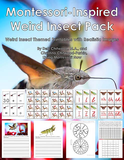 Montessori-Inspired Weird Insect Pack