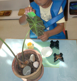 Montessori Leaf Washing Activity (Photo from the Moveable Alphabet)