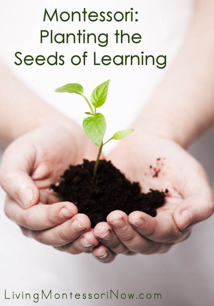 Montessori: Planting the Seeds of Learning