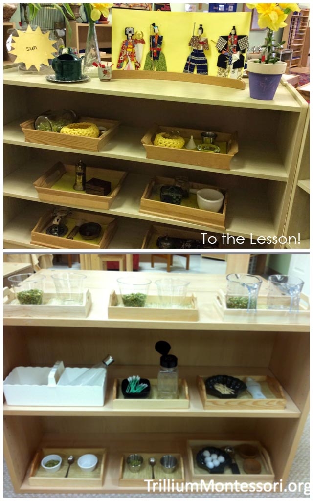 Montessori Practical Life Shelves Emphasizing Dry Transfer Activities from To the Lesson! and Trillium Montessori