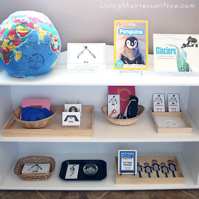 Montessori Shelves with a Penguin Theme