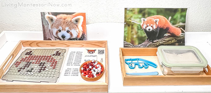 Montessori Shelf with Red Panda Bead Craft and Red Panda Clay Activity