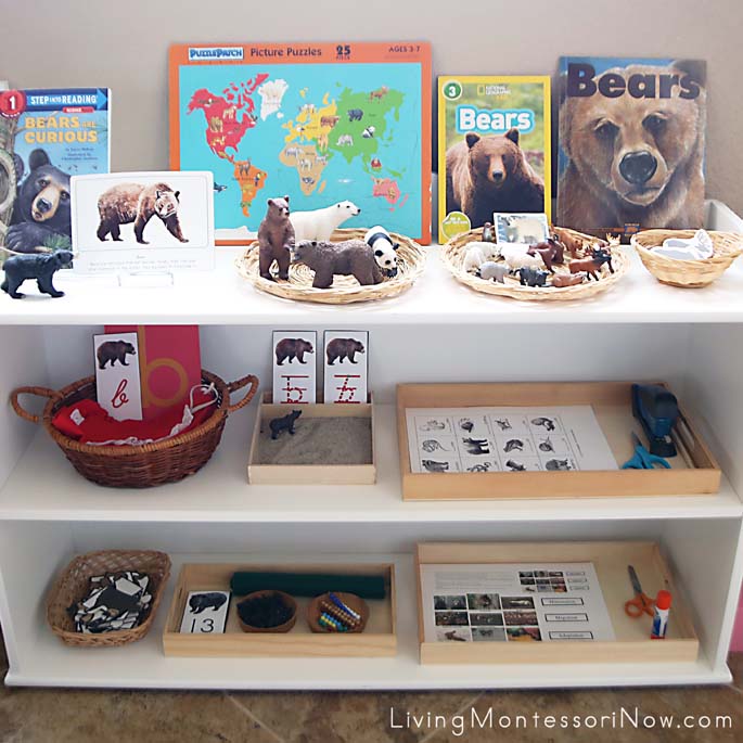 Montessori Shelves with a Bear Theme