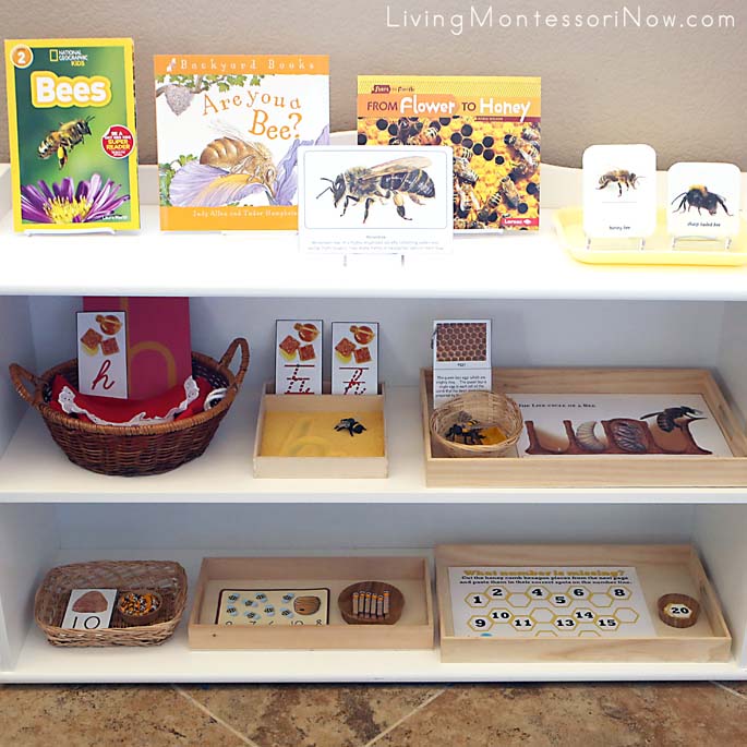 Montessori Shelves with a Bee Theme