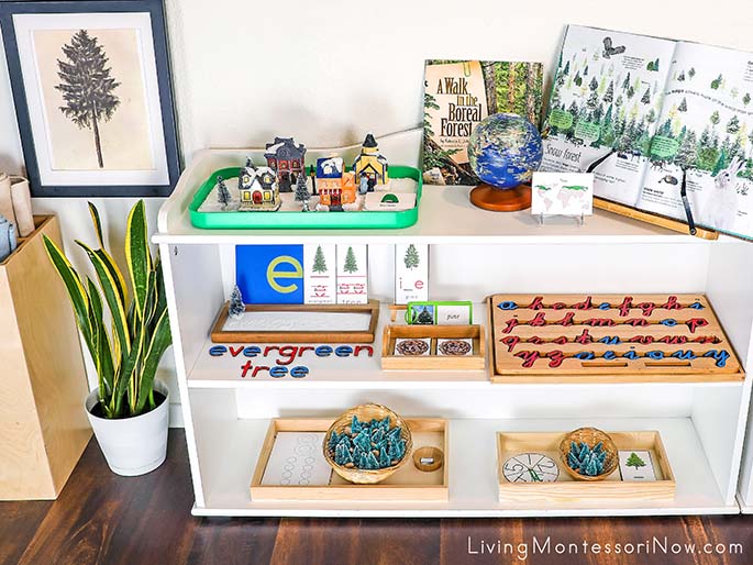 Montessori Shelves with Evergreen Tree Themed Activities and Albrecht Durer Art Print