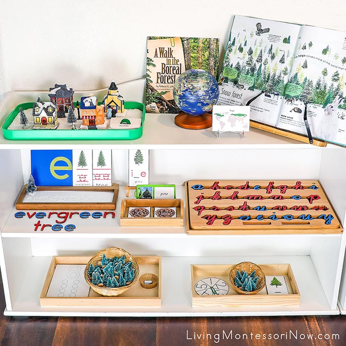 Montessori Shelves with Evergreen Tree Themed Activities