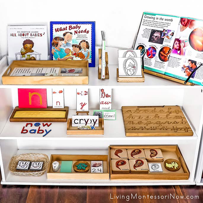 Montessori Shelves with New Baby Themed Activities