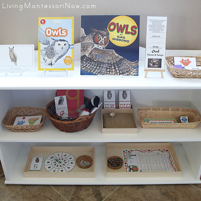 Montessori Shelves with an Owl Theme