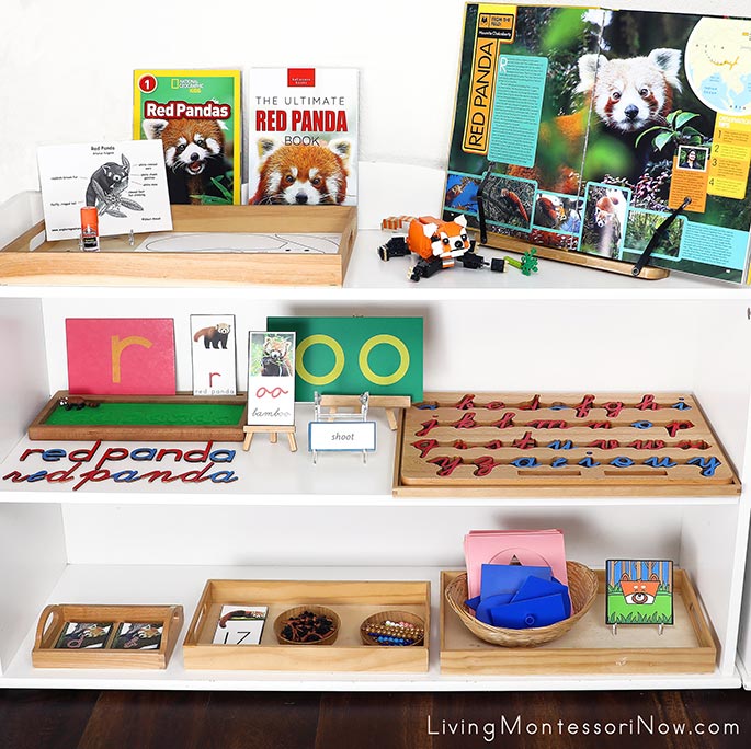 Montessori Shelves with Red Panda Themed Activities
