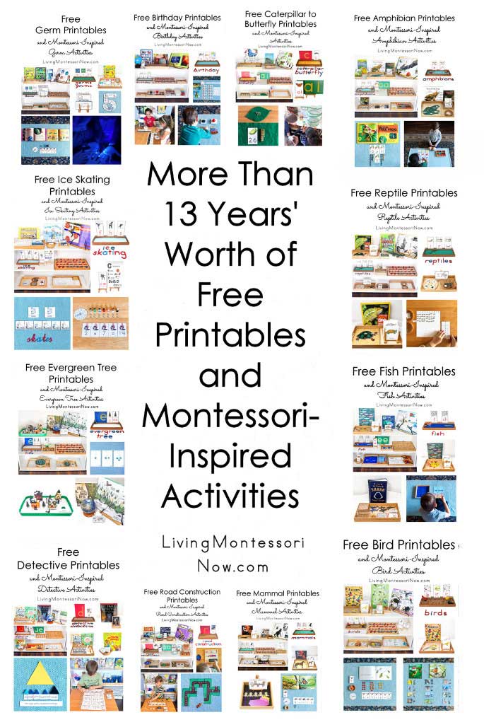 More Than 13 Years' Worth of Free Printables and Montessori-Inspired Activities