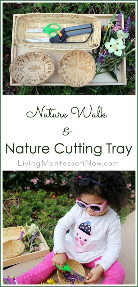Nature Walk and Nature Cutting Tray