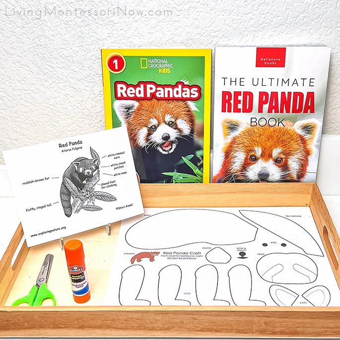 Red Panda Books with Red Panda Diagram and Craft