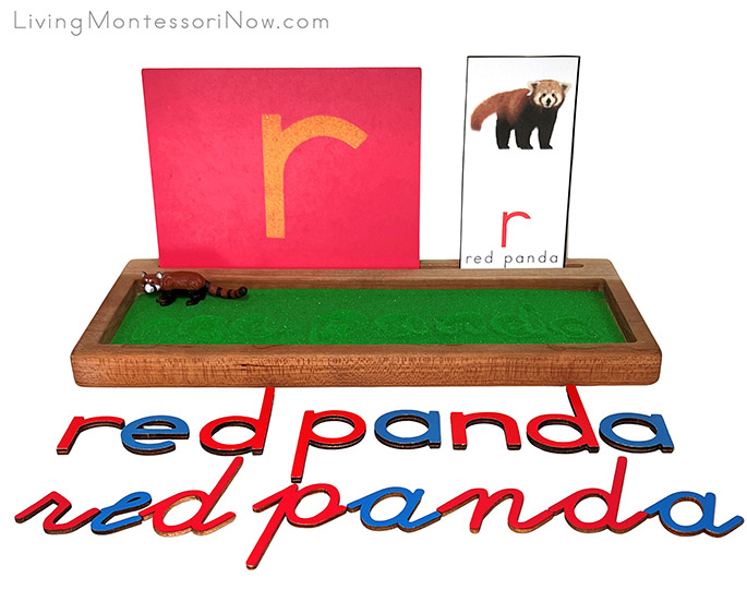 Sand Writing Tray for a Red Panda Theme