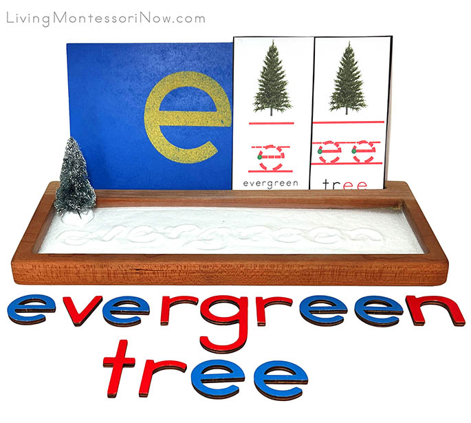Sand Writing Tray for an Evergreen Tree Unit