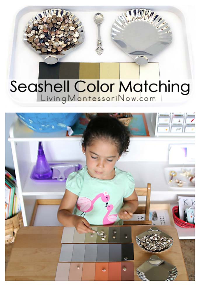 Seashell Color Matching {Easy-to-Prepare Variation of Montessori Color Box 3}