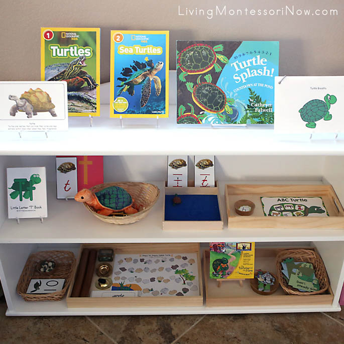 Montessori Shelves with a Turtle Theme